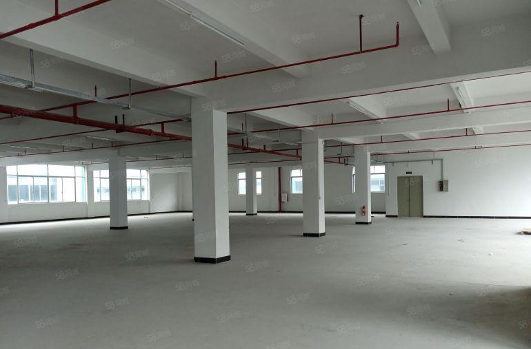 惠州大亚湾西区300平特价11元新装修红本园区厂房直租