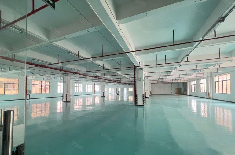 大亚湾新出原房东楼上2000平带装修厂房仓库低价出租可分租