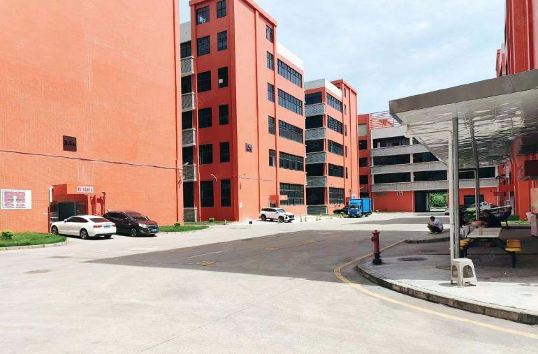 大亚湾西区龙山六路原房东新出500平县城地坪漆宿舍楼电商仓储