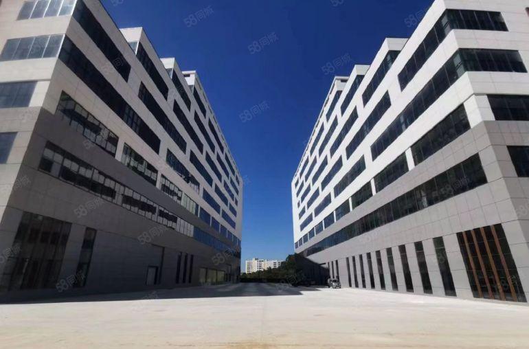 大亚湾西区全新独栋2万平方厂房仓库出租，水电齐全精装交付