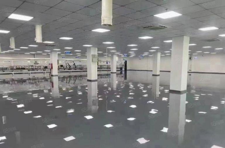 惠州特价10元现成装修 临深万达商圈 生活方便 响水河工业园