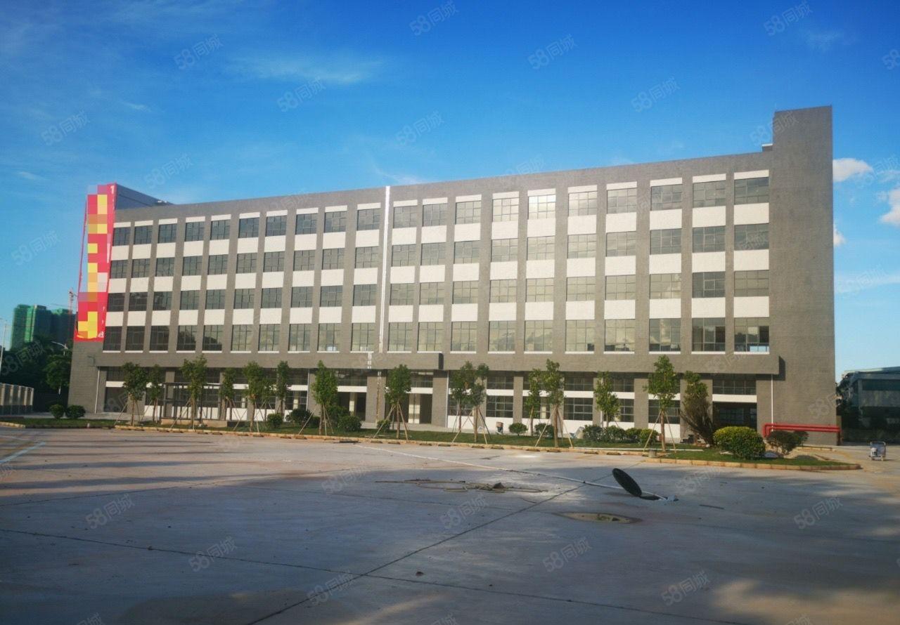 500平起分超大空地免费用大亚湾红本标准厂房30000平