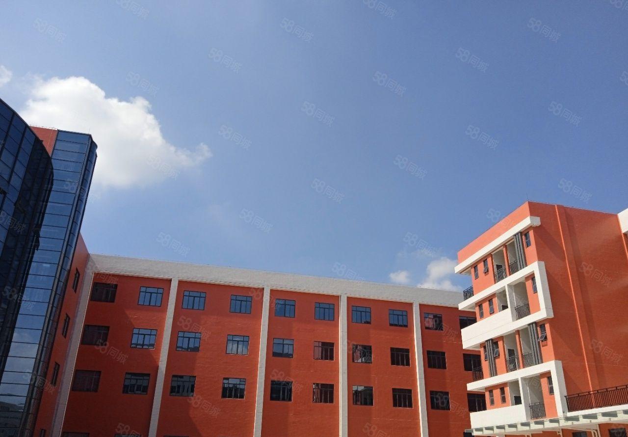 形象超好！一手自建全新红本独院厂房20000平米18块出租