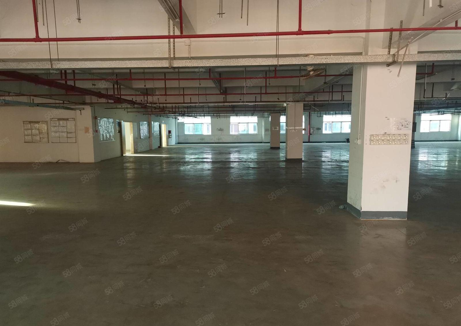 200平起分）大亚湾西区标准二楼厂房4800平带红本电力充足