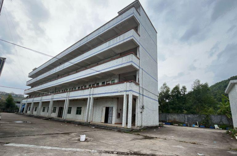 大亚湾独门独院红本标准厂房，200起分。10元