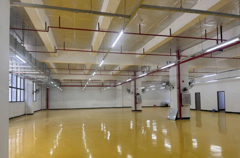 11块！临深大亚湾全新厂房仓库出租园区配套齐全可500起分。