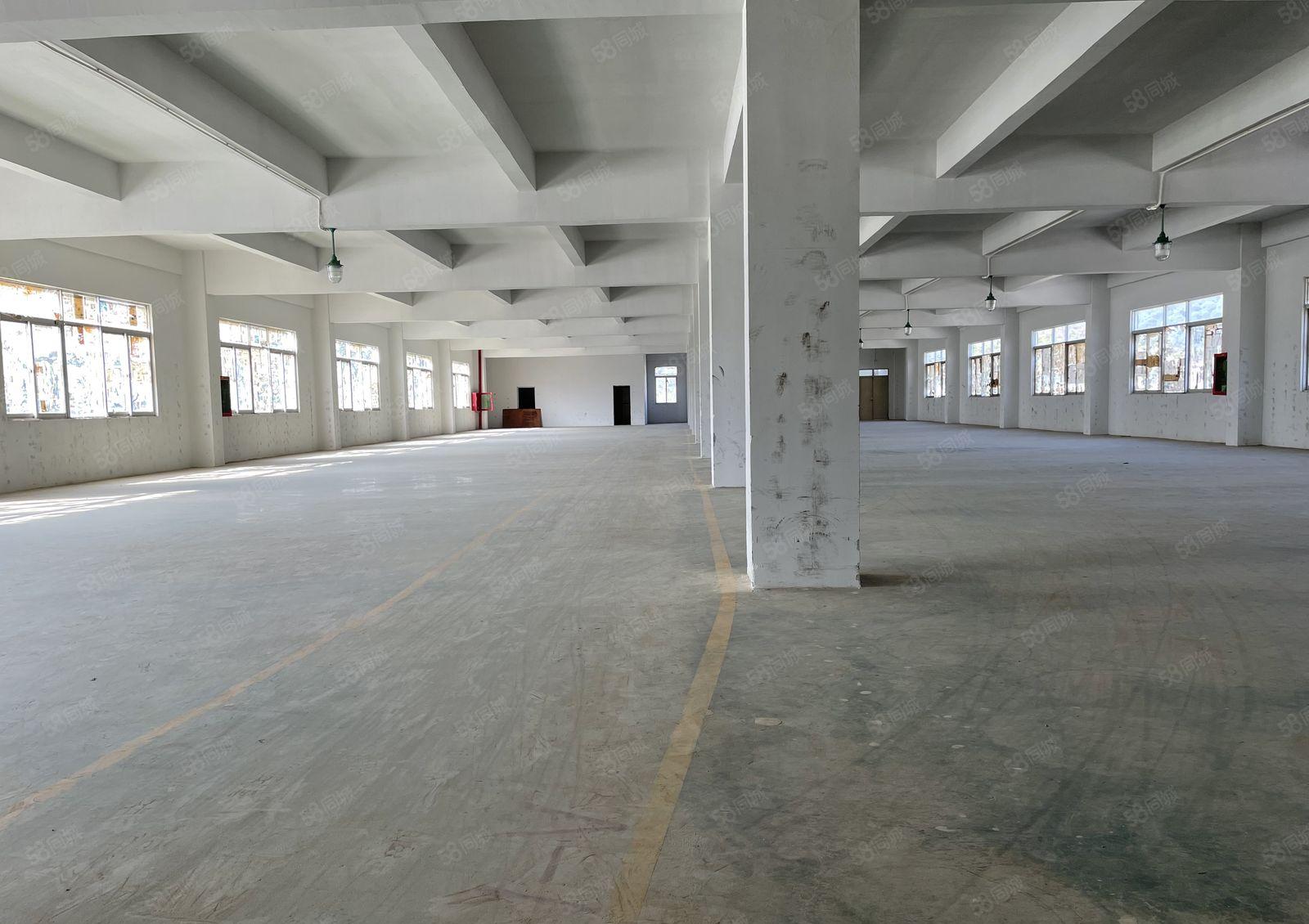 （含税）大亚湾西区原房东标准3层独院实际面积3670平出租