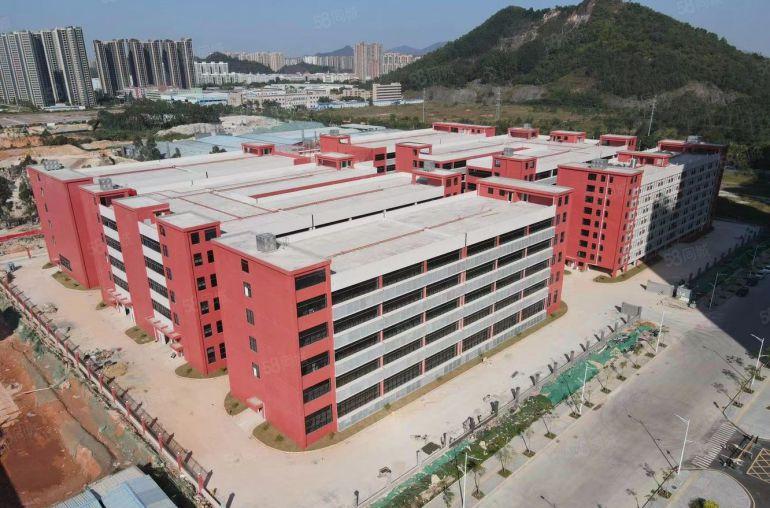 临深片区原房东红本工业厂房8元，不限制行业100平起分