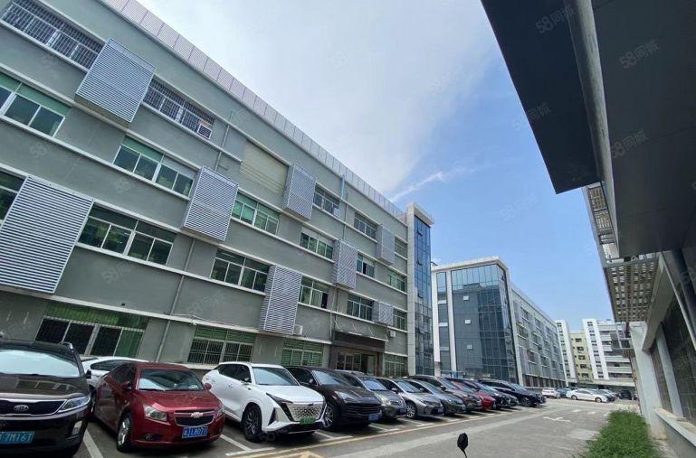 大亚湾西区原房东一楼二楼2000平精装修办公仓库厂房低价出租