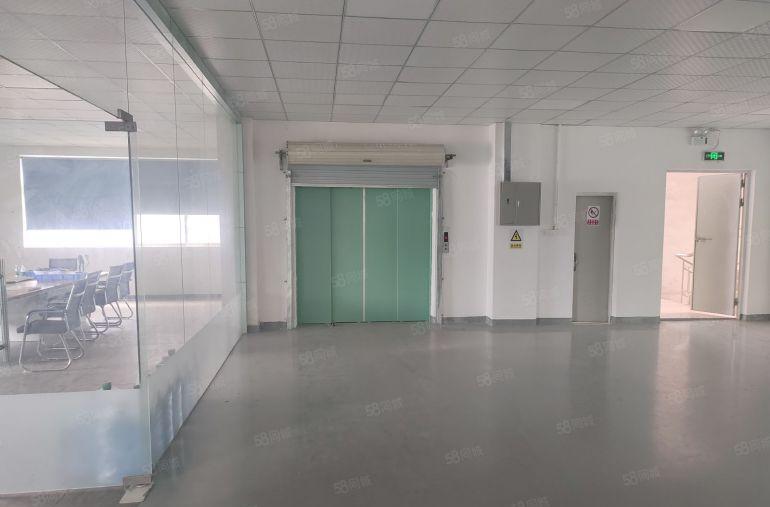 10元带装修大亚湾临近坑梓淡水秋长红本厂房带装修800平起租