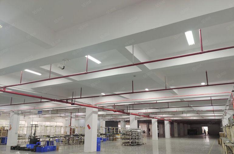 大亚湾西区原房东低价厂房仓库2500平出租，300平起分