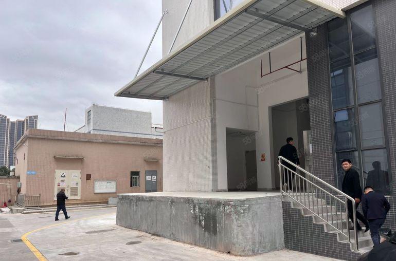 大亚湾西区高端全新厂房出租，十元起，全新玻璃外墙带现成地坪漆