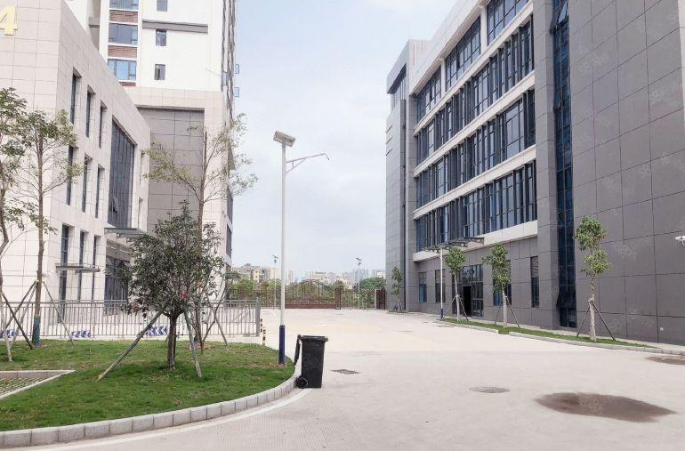 厂房出租，大亚湾独院厂房出租，单价12，实际面积，价格好谈