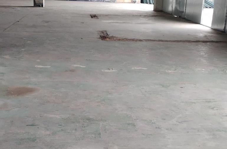 大亚湾新寮新空出一栋厂房仓库按实际面积出租