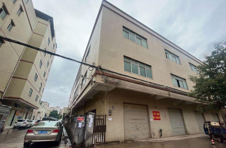 年底特价5元，大亚湾原房东直招，无公摊，不限制行业，