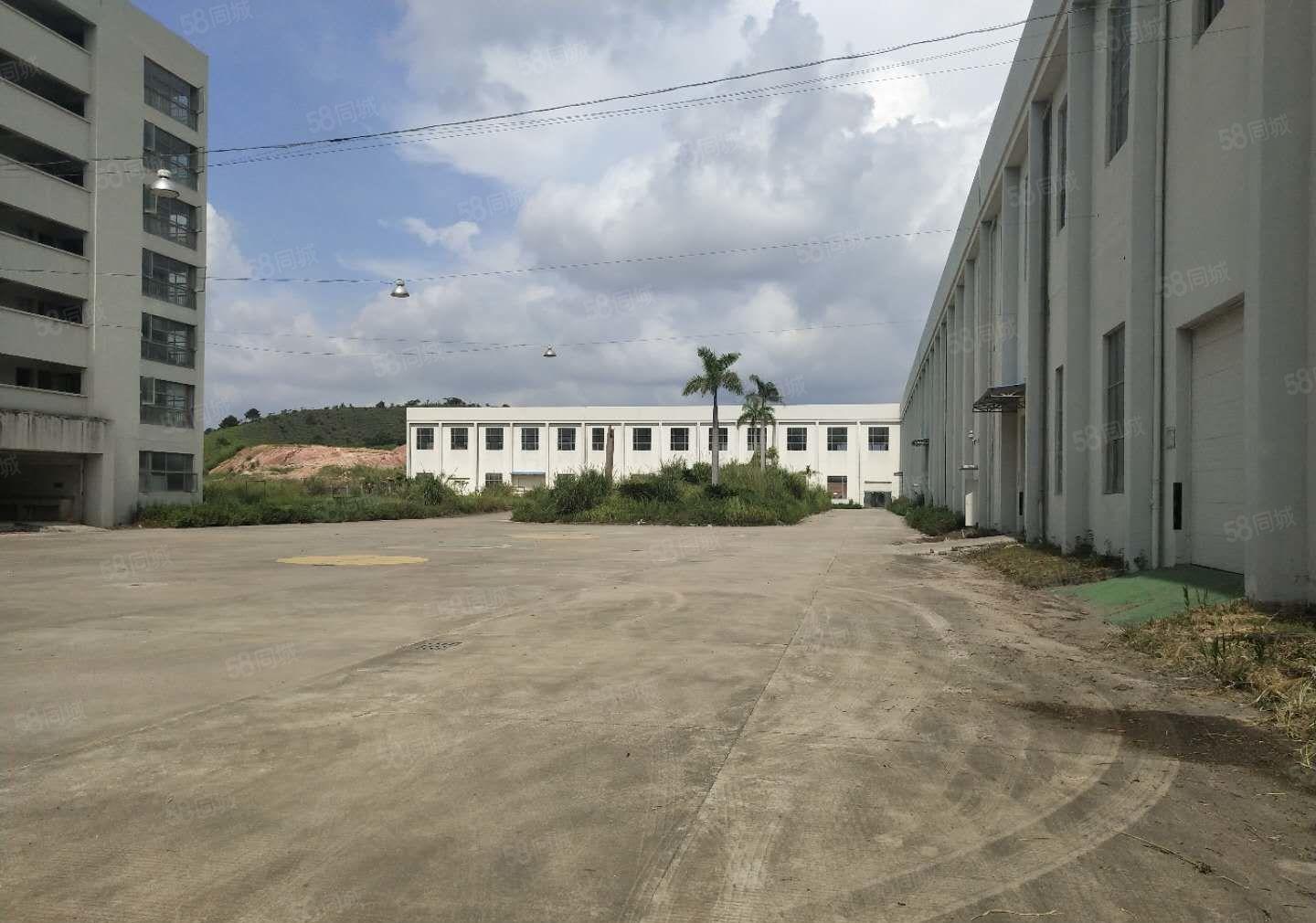 可办环评！滴水14米高带卸货平台4台行车厂房招租