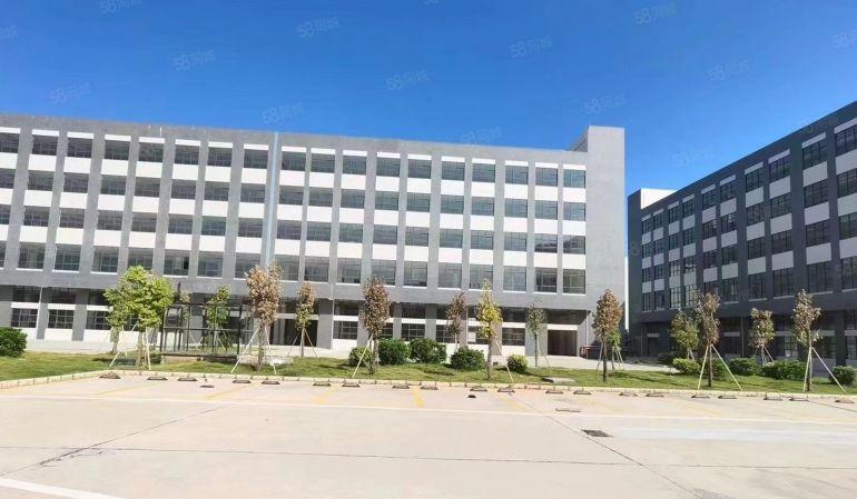 大亚湾红本厂房，年底免租期长，价格好谈，8块钱，200起分租