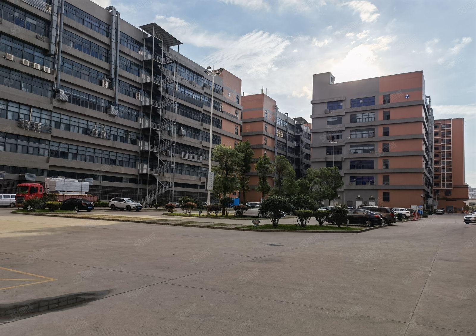 大亚湾西区工业园红本厂房新出1200平方带装修两部三吨电梯