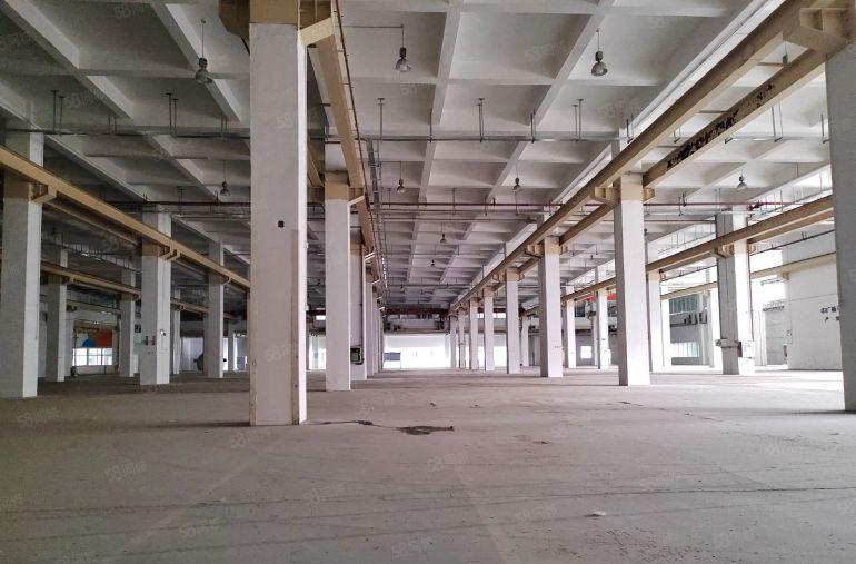 大亚湾西区1楼高度9.5米，厂房出租，11800平米可分租