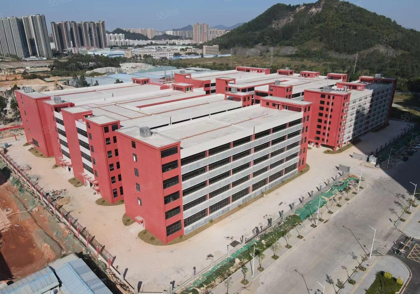 全新厂房，已交楼，租金便宜，免租期长