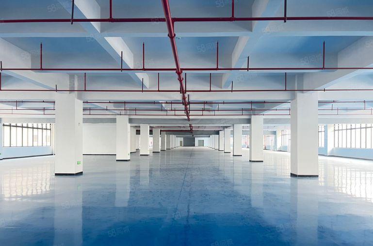 10元大亚湾新厂房200平起分帮隔墙带地坪漆厂房仓库低价出租