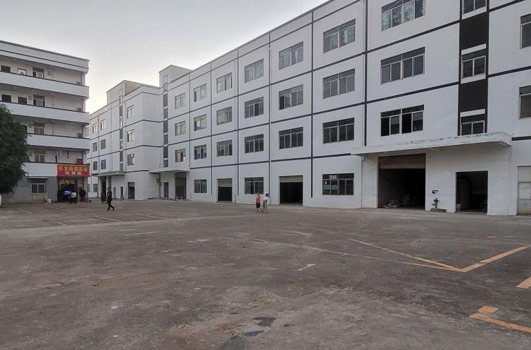 9块！临深大亚湾1600平原房东红本厂房仓库出租可分租