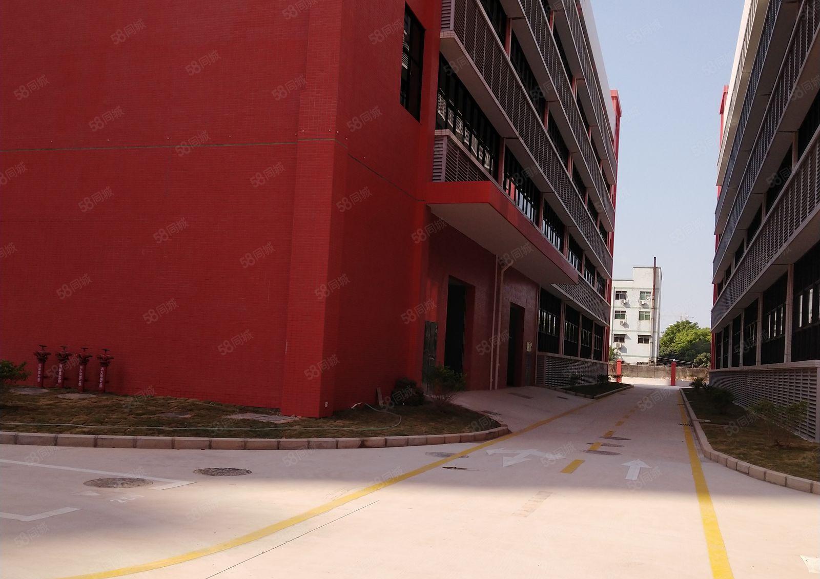 大亚湾龙山五路全新5万平厂房出租