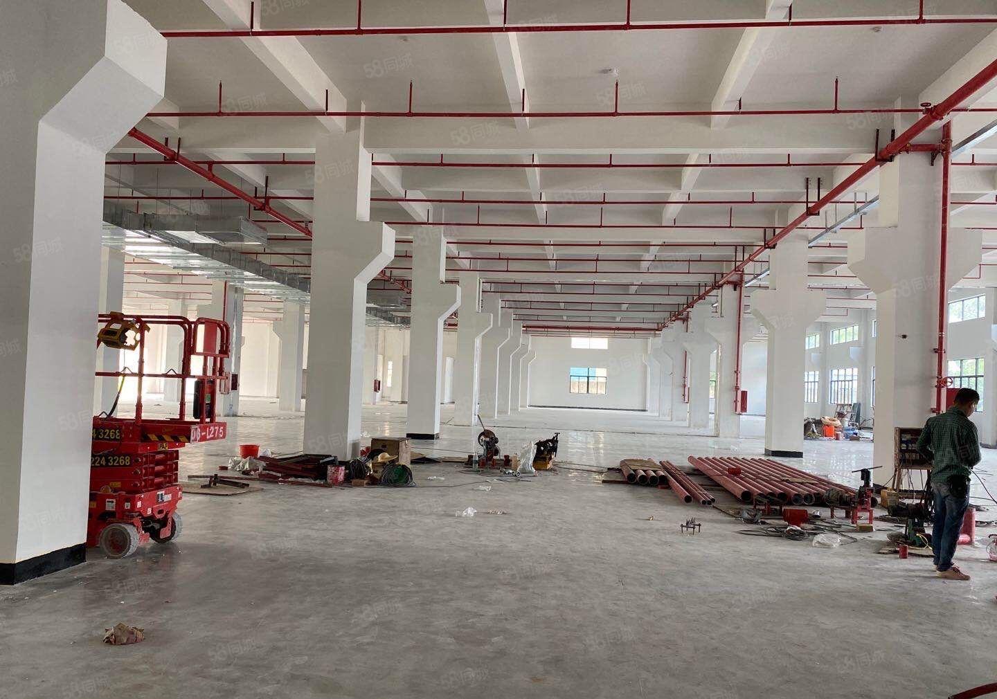 惠阳大亚湾一二楼标准厂房800平1000平出租