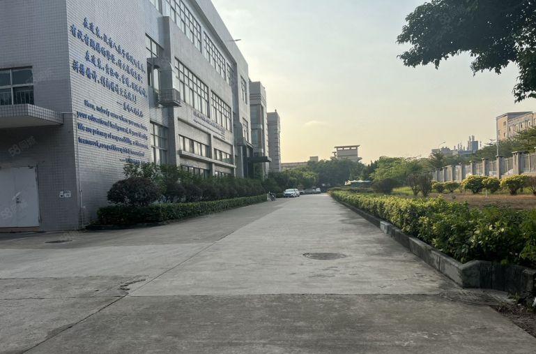 大亚湾万达旁新出单层面积5000平卸货平台原房东直租无公摊