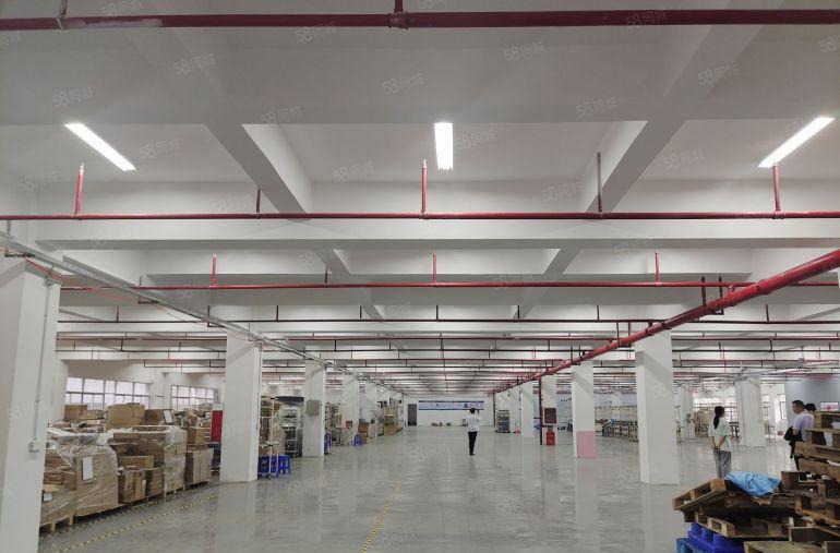 大亚湾西区原房东低价厂房仓库2500平出租，300平起分