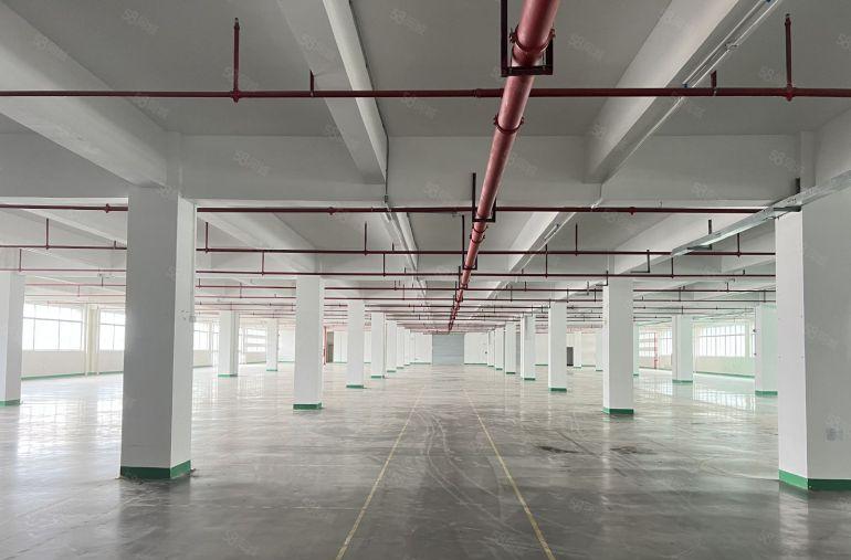 10元起大亚湾新出原房东实际面积带装修厂房仓库低价出租可分租