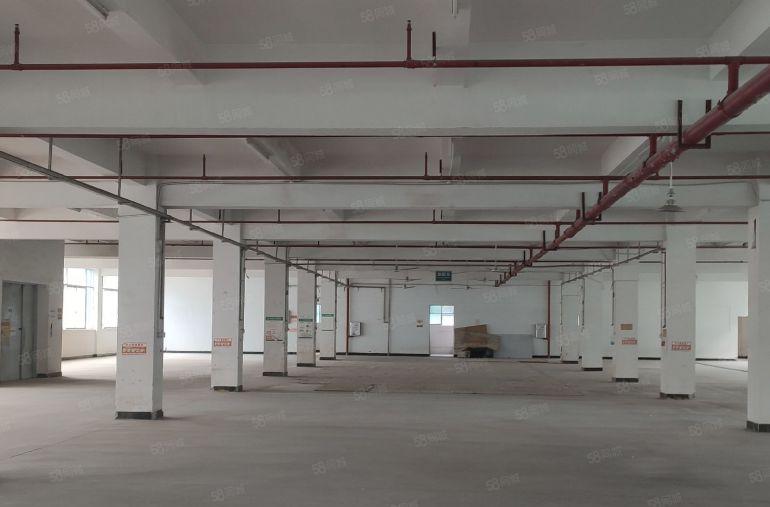 10元，大亚湾楼上带装修1000平标准厂房仓库出租，可办环评