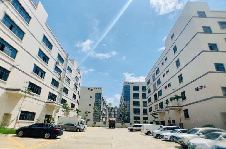 整层3000平可分租！已空置，带精装修，无转让费，原房东厂房