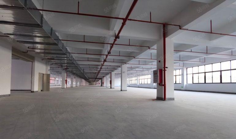 惠阳大亚湾500平原房东标准低价厂房出租，现成精装修有红本