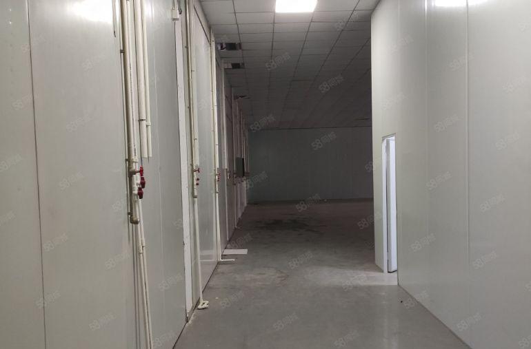 11块，大亚湾原房东带装修1000平厂房仓库出租，现成水电