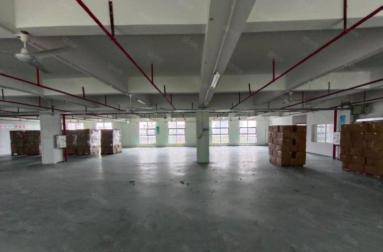 9元厂房，700平带装修 原房东仓库厂房出租 高使用率