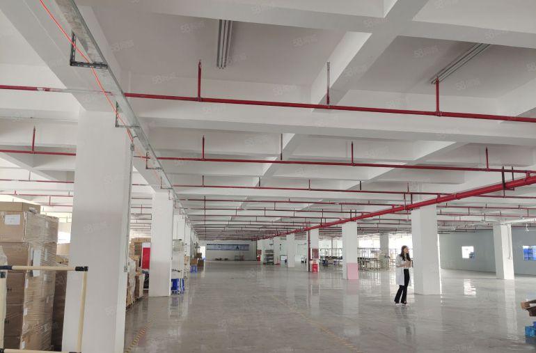 大亚湾西区原房东低价厂房仓库2500平出租，300平起分