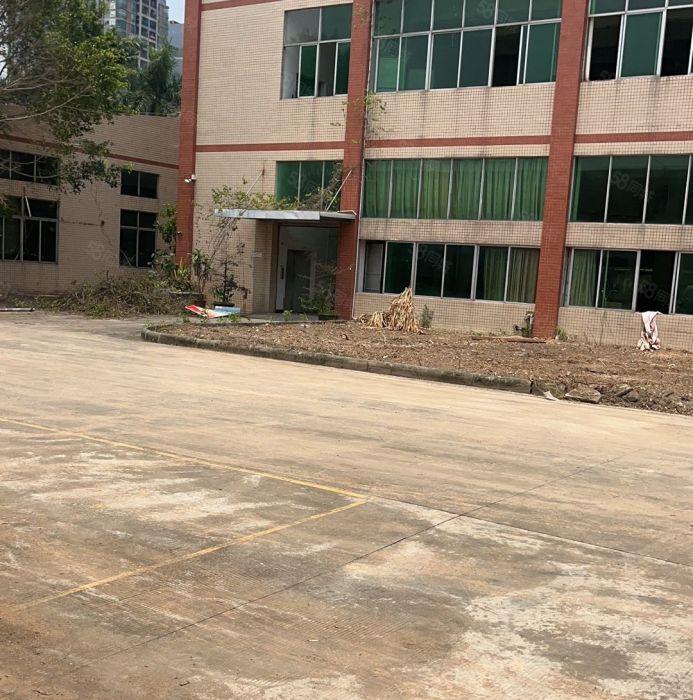 大亚湾临深厂房，特价出租11元，不限制行业，有红本