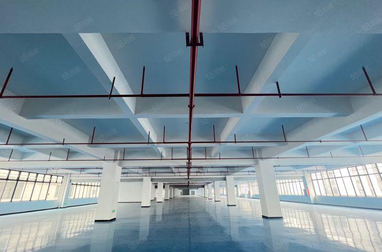 6元钱特价带地坪漆大小可分形象好原房东2000平厂房出租