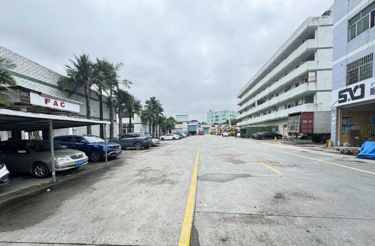 16块大亚湾龙海二路滴水8米3000平方钢构厂房实际面积出租