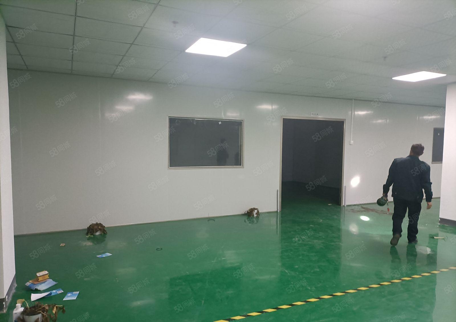 星华工业园800平无尘车间出租离坪山3公里处