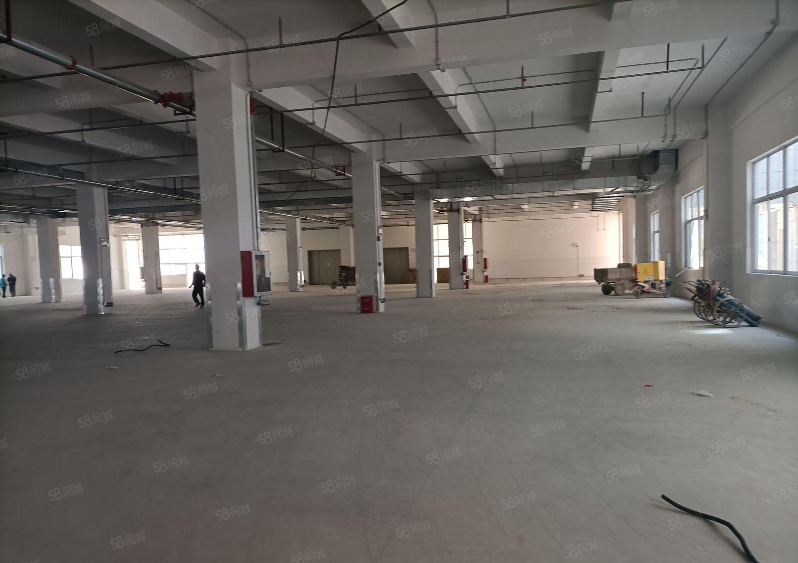 5000平厂房招租一楼临龙光城一公里