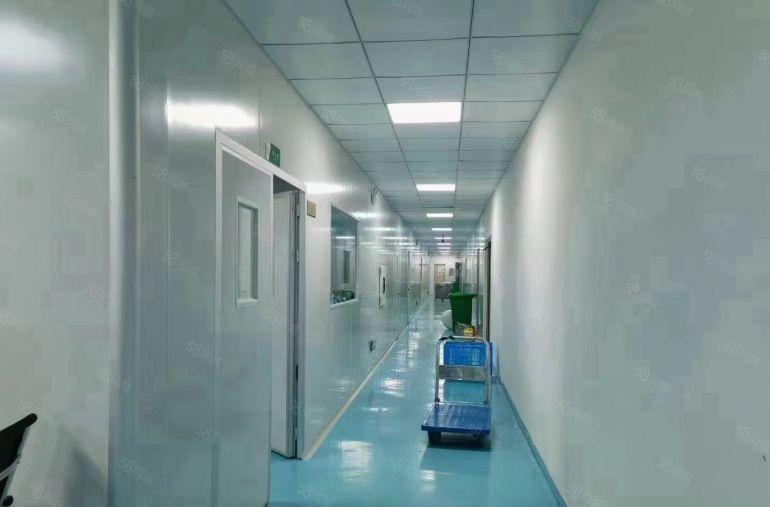 大亚湾西区蔚蓝海岸附近500平厂房出租，精装修！