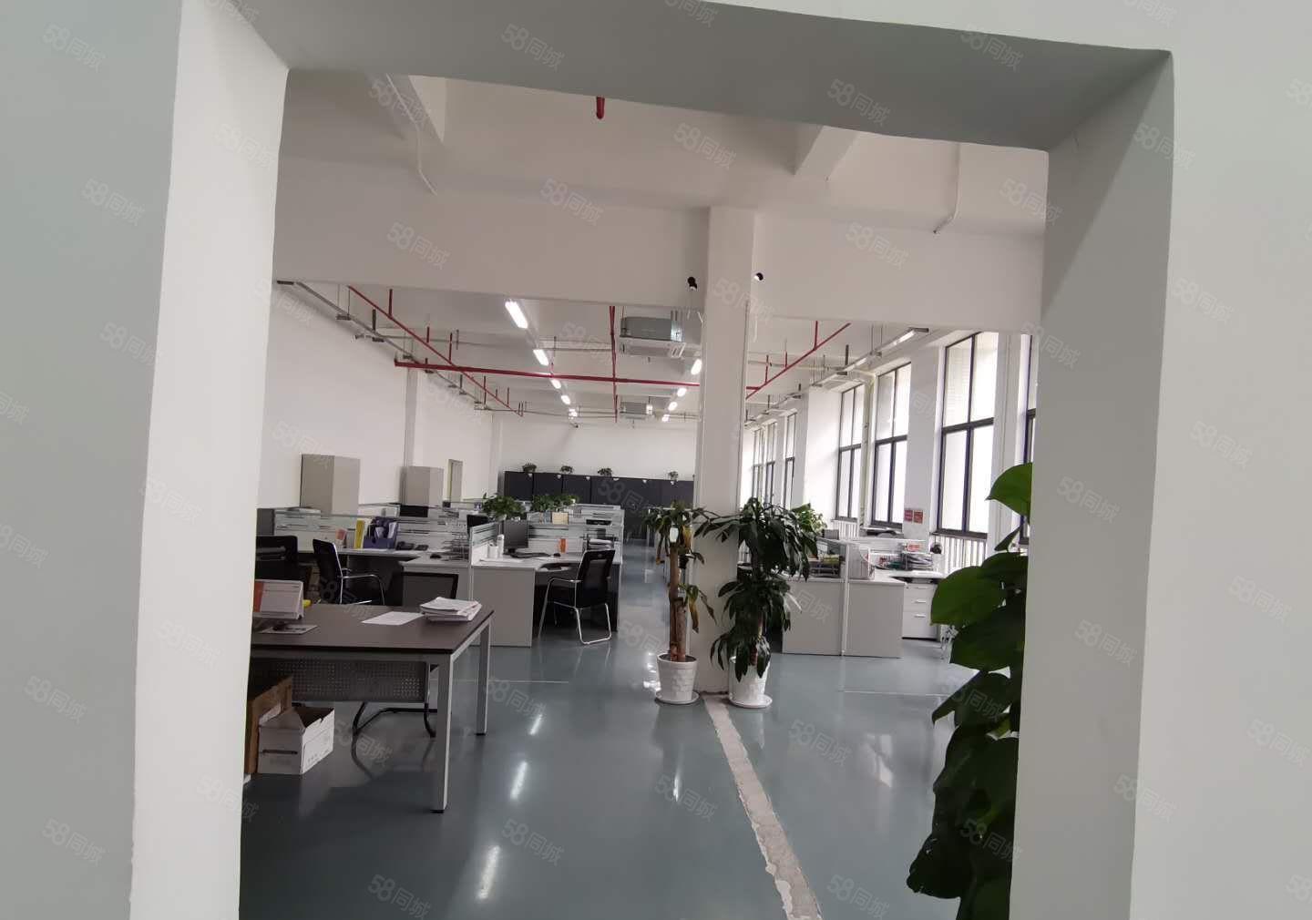 大亚湾西区红本厂房1楼2楼各1300平米，可分租，形像好