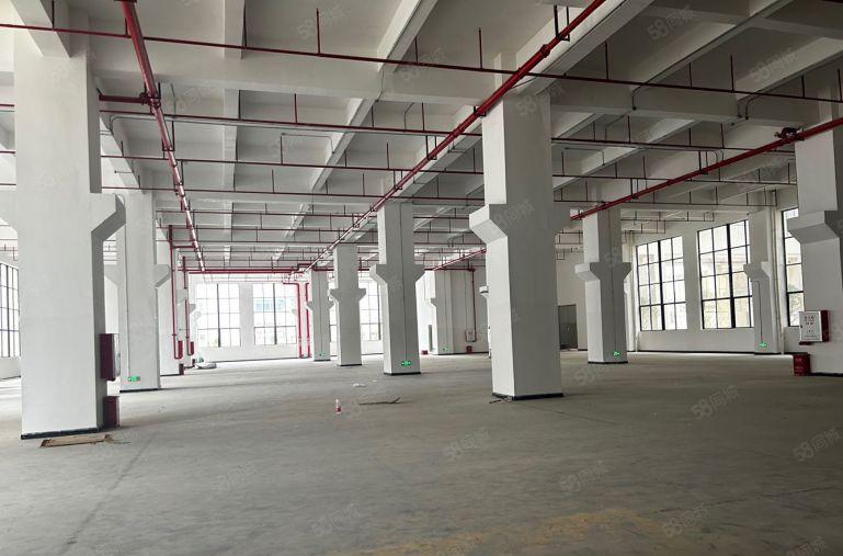 9元！大亚湾西区原房东独栋15000平厂房仓库低价出租可分租