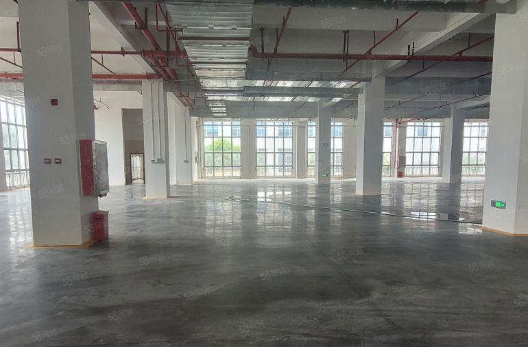 大亚湾比亚迪一楼3200平带装修红本厂房仓库出租可分租！
