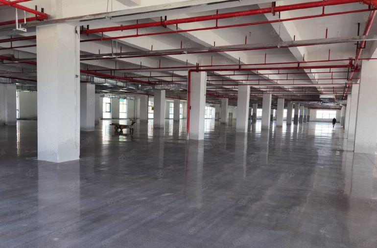 十元大亚湾标准厂房500平起租租，空地大原房东低价出租。