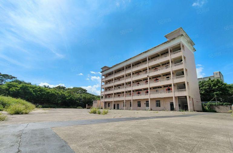 龙岗10米单一层厂房出租