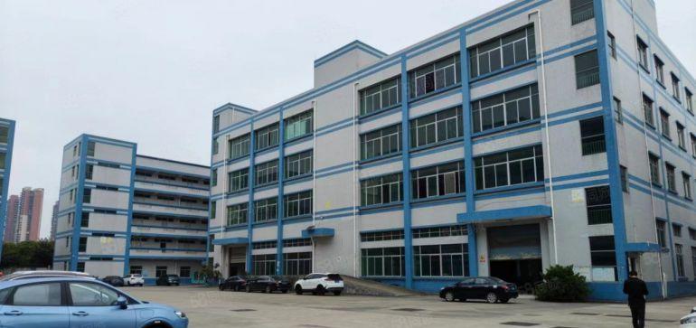 大亚湾西区300平 420平 540平厂房出 现成精装办公室