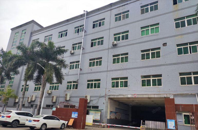 12月前租厂房，房东直言免租半年，红本证件厂房。